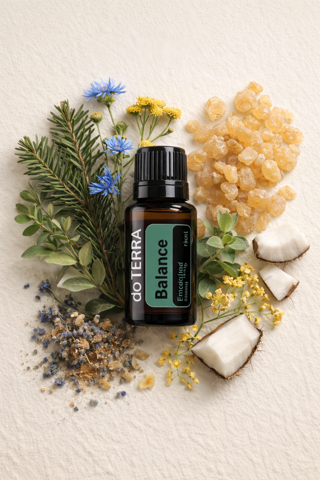 Stimmungsvoll arrangiertes Cocoon Balance Öl mit natürlichen Elementen w.ie Holz und Blättern