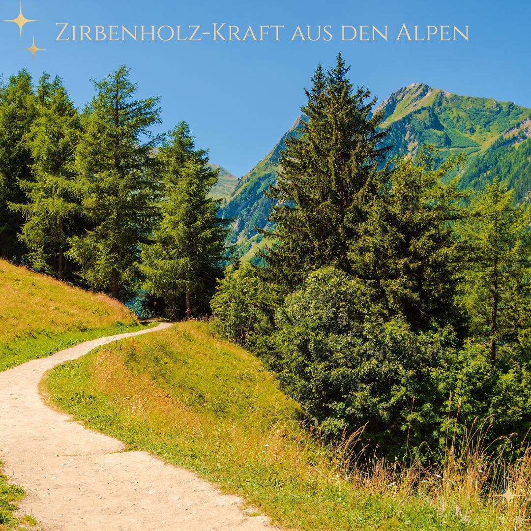 Zirbenholz: Die Kraft der Alpen – warum es Körper, Geist & Seele wirklich beruhigt