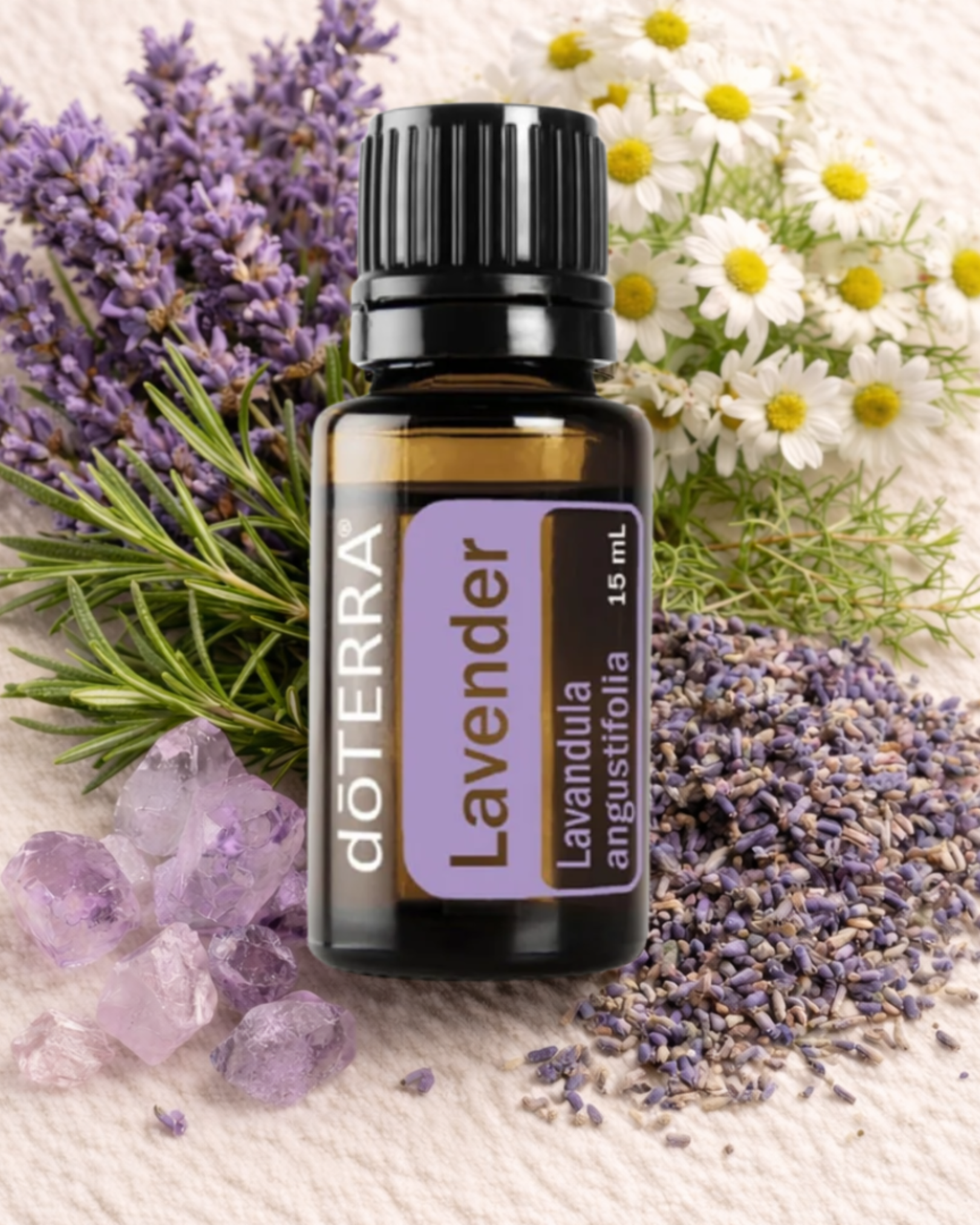 Lavendel ätherisches Öl für Aromatherapie – beruhigender Duft für Schlaf und Entspannung