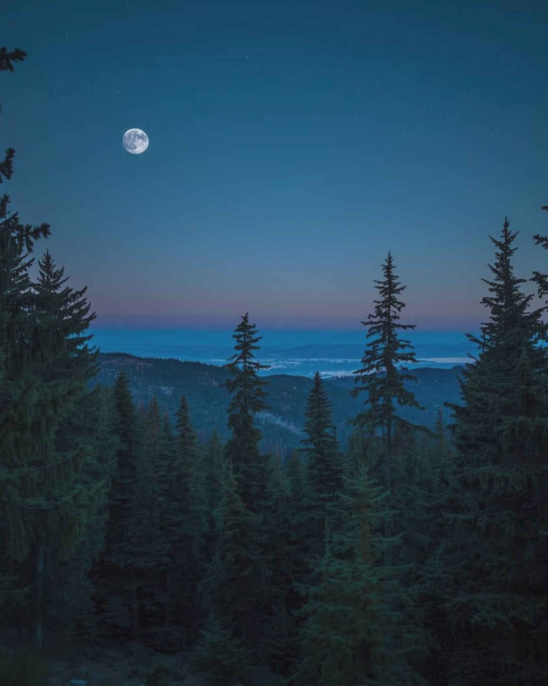 Geführte LuxCocoon Gute-Nacht-Meditation als Teil des Dream Cocoon Schlafrituals