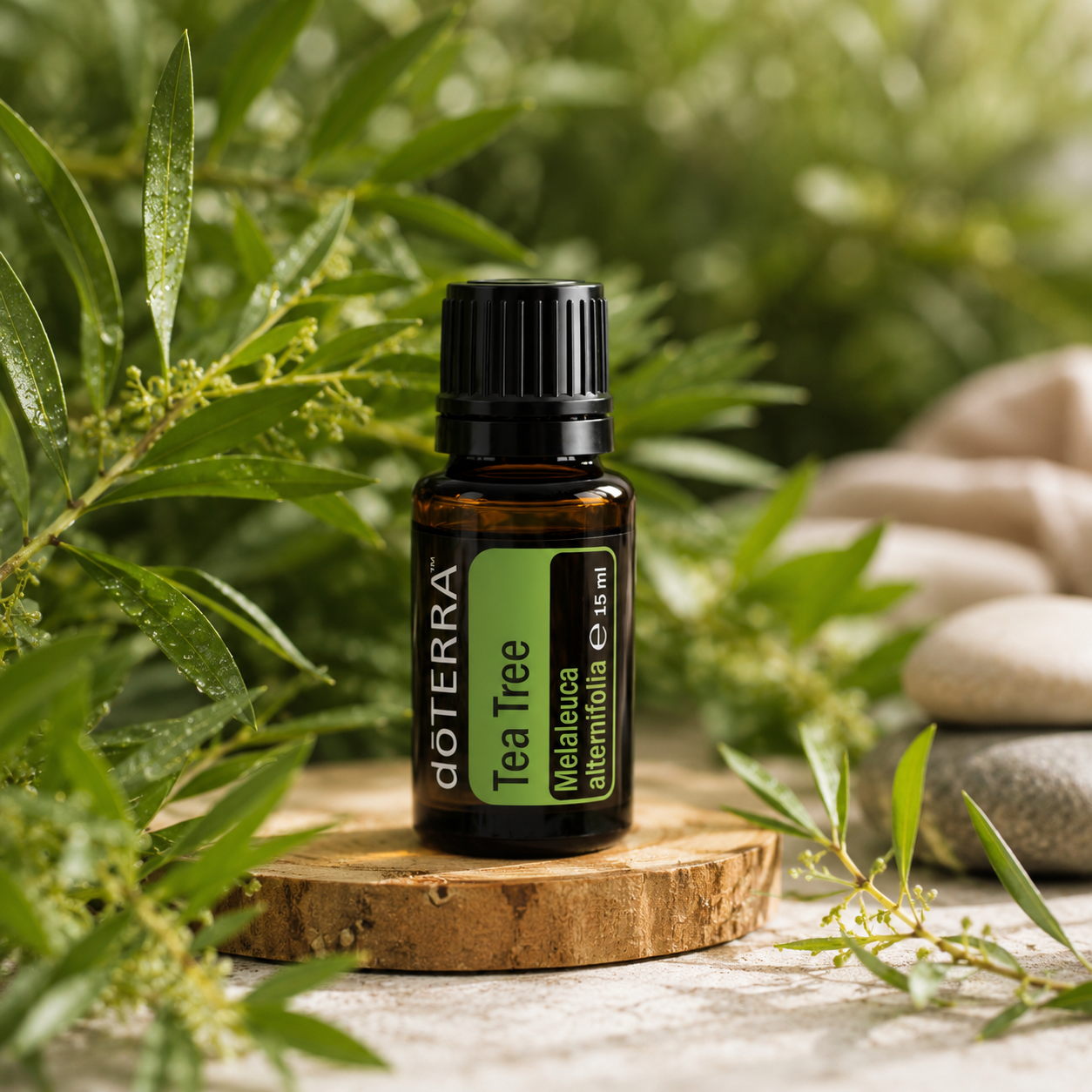 Teebaumöl Melaleuca mit natürlichen Inhaltsstoffen in frischer LuxCocoon Umgebung